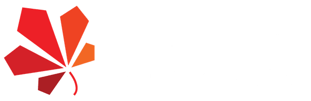 BVCI Logo
